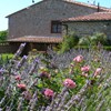 attività in maremma